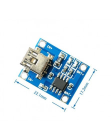 5V MINI Micro USB 1A 18650...