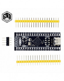 Color: STM32F401 - Placa de...