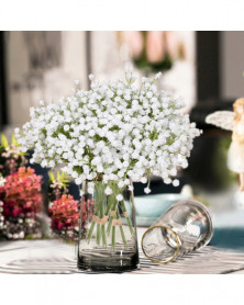 Blanco - Gypsophila-Flor...