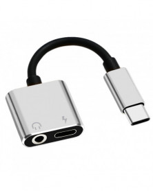 Plata - Convertidor USB...