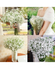 Blanco - Gypsophilas-Flor...