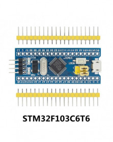 STM32F103C6T6 - Módulo de...