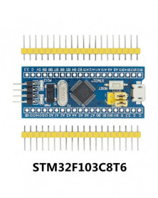 STM32F103C8T6 - Módulo de...