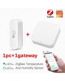 1pc con 1gateway - Sensor...