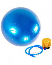 azules - Pelota Balon Gym...