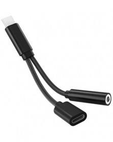 Cable de USB Tipo C a Mini...